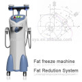 new technology quick fat freezing machine